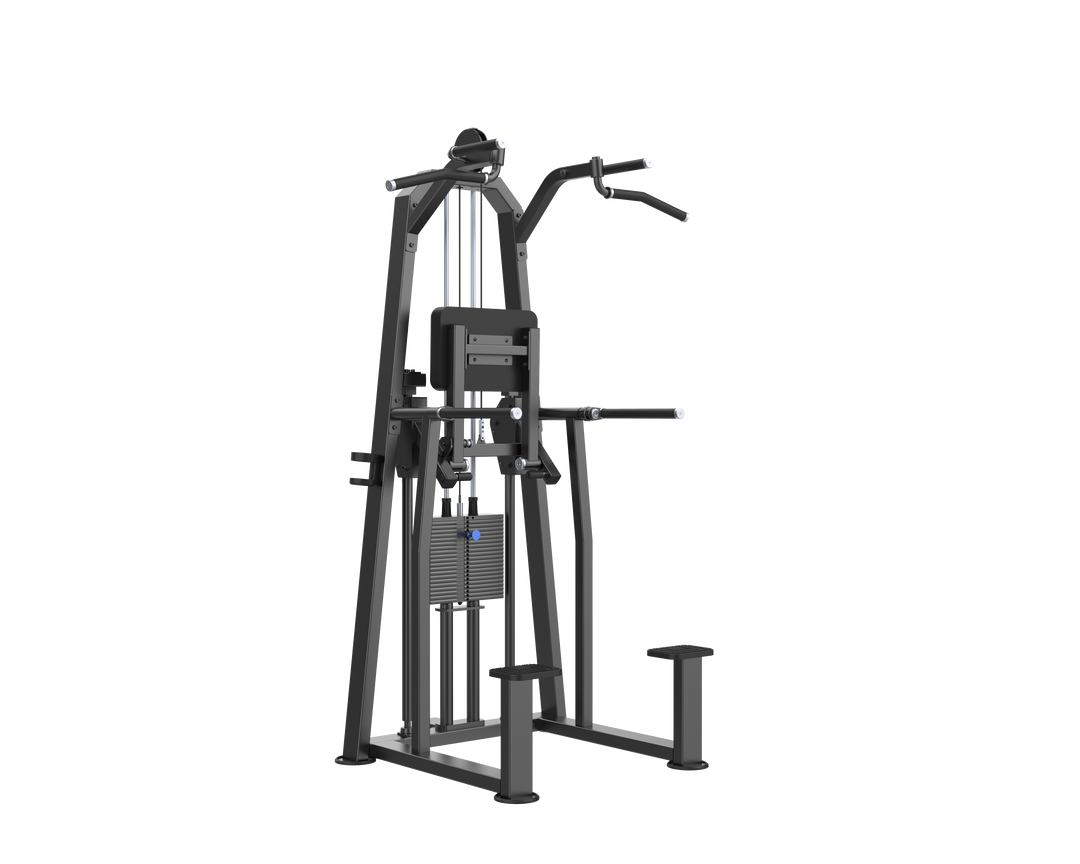Body Iron Commercial Po DIP/CHIN ASSIST