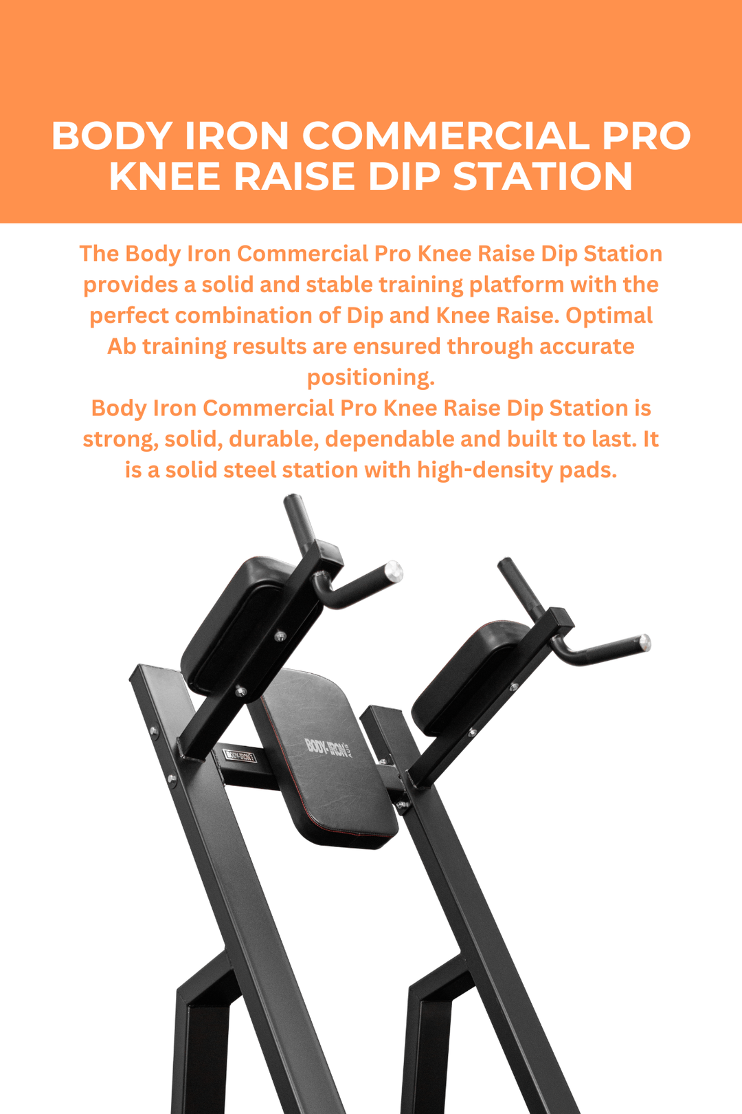Body Iron Commercial Pro Knee Raise Dip Station