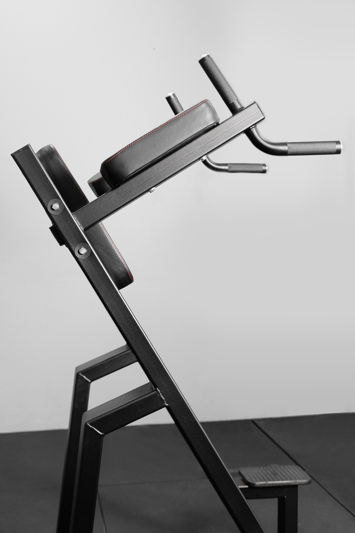 Body Iron Commercial Pro Knee Raise Dip Station